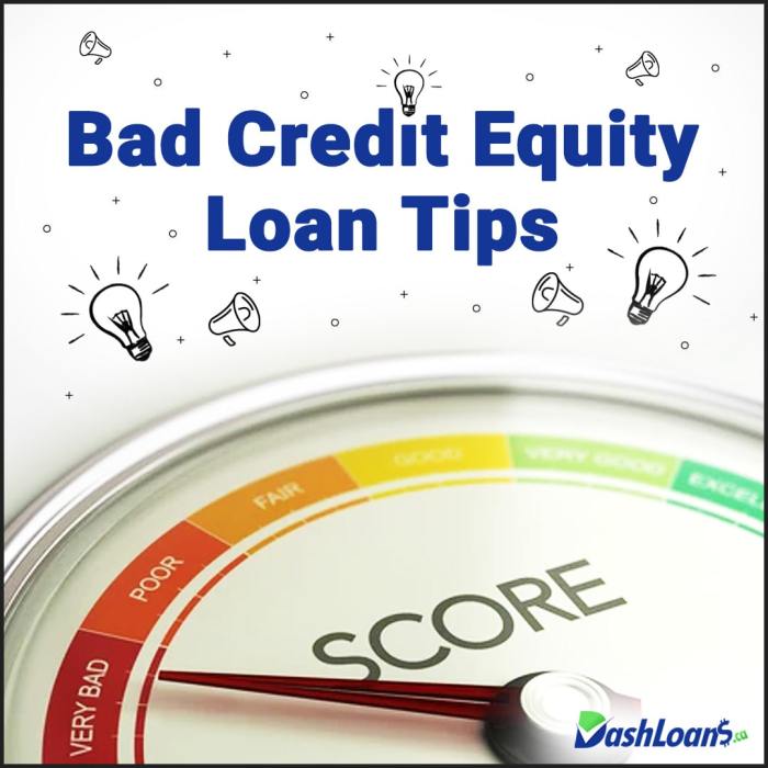 Equity loan wealth accumulation investment Equity loan